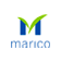 Marico share price