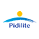 Pidilite Industries
