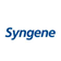 Syngene International share price