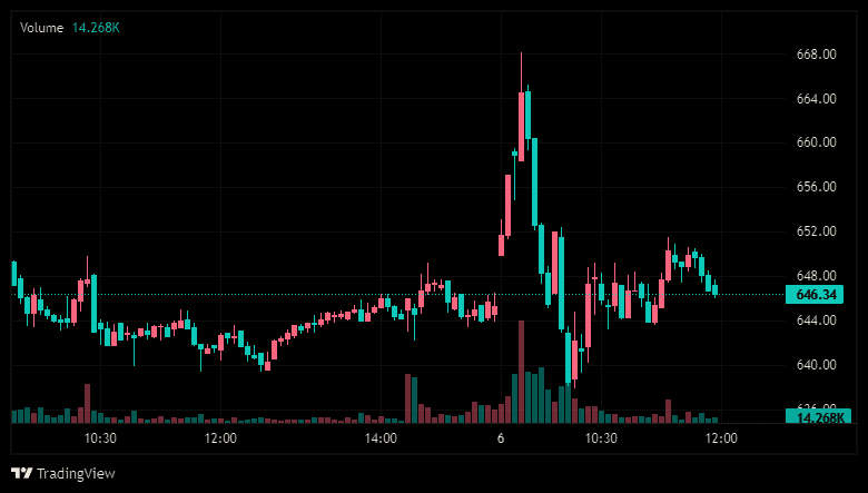 Birlasoft Ltd 