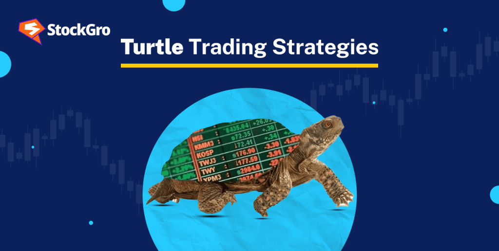 Turtle Trading Strategies and How They Work