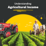 Understanding Agricultural Income